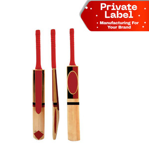 Set de Bate y Pelota de Cricket de Plástico Ligero al por Mayor, Bate de Playa Personalizado OEM, Bate de Cricket de PVC de Diseño Personalizado, Pelota de Tamaño Completo - Product Image 1