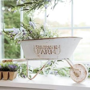 Farm Garden Galvanized Metal <b>Planter</b> <b>For</b> <b>Vegetable</b> Herbs Flowers Nursery Backyard Patio Balcony Outdoor Growing - Product Image 6