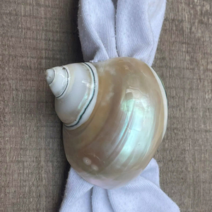 Porta Servilletas con Forma de Anillo Hecho a Mano en Vietnam con Diseño de Caracol y Concha Marina para Decoración de Mesa en Hoteles y Banquetes con Temática Oceánica - Product Image 1