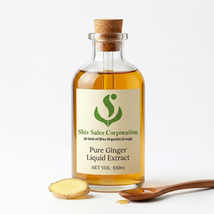 Extrait liquide de gingembre pour l'approvisionnement des marchés B2B, conçu pour les entreprises de transformation alimentaire, l'industrie des boissons et la fabrication d'arômes - Product Image 4
