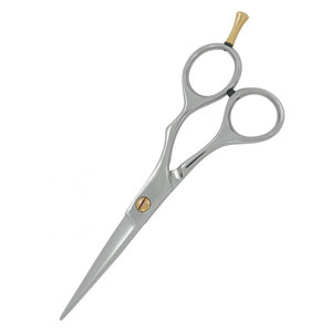 Tijeras de Peluquería Profesionales de Acero Inoxidable, Color Plateado, con Tornillo Dorado, Tijeras de Salón Premium para Cortar el Cabello - Product Image 6