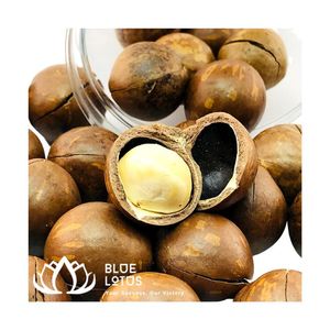 NOUVEAUTÉ : Noix de Macadamia Entières Croquantes et Écologiques pour un Régime Quotidien - Product Image 1