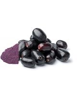 Fabrikant van Jamunpoeder, wereldwijde exporteur van hoogwaardige producten, premium fruitvoeding, natuurlijke voedingsoplossing, gezonde voeding