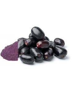 Fabricante de Polvo de Jamun, Exportador Global, Producto de Calidad para Exportación, Nutrición Premium a Base de Frutas, Solución Alimentaria Natural, Nutrición Saludable - Product Image 4