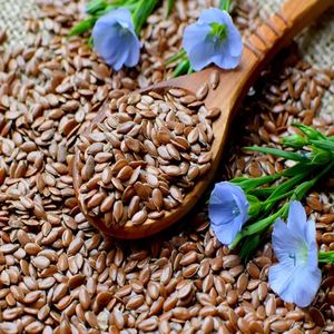 Semillas de Lino Orgánicas a Granel para Extracción de Aceite y Uso Alimentario, Ricas en Fibra y Omega 3, Semillas de Linaza Naturales de Calidad de Exportación - Product Image 4