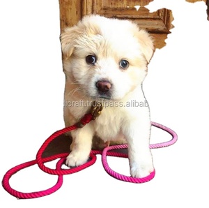 Solid and OMBRE ROPE DOG <b>LEASH</b> HANDMADE COTTON ROPE BRAIDED DOG <b>COLLAR</b> and <b>LEASH</b> SET Dog Walking Rope <b>Leash</b> Cotton - Product Image 1