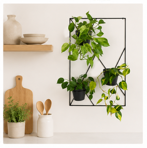 Modern Geometric <b>Wall</b> Mounted Plant Stand Black Metal Indoor for Plants Iron <b>Garden</b> Rack Decorative <b>Wall</b> <b>Planter</b> for Home - Product Image 2