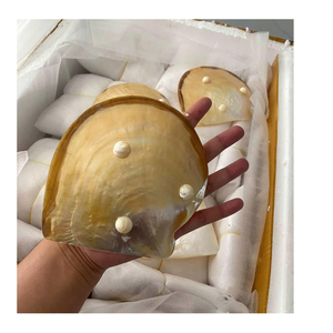 Assiette en nacre faite à la main, plat décoratif polyvalent pour les amateurs de caviar, plat poli multi-usages, cadeau de mariage - Product Image 1