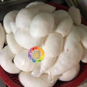 เนื้อมะพร้าวอ่อนแช่แข็ง IQF จากเบนเต้ เวียดนาม ปอกเปลือกสำหรับทำครีม-CARYLN - Product Image 4
