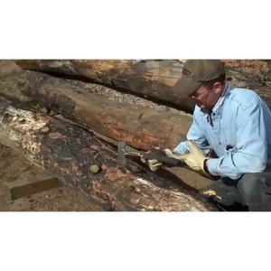 Bûches de bois dur de qualité supérieure, bûches à peler, bois massif naturel, idéal pour le pélage, la production de contreplaqué et la menuiserie - Product Image 2