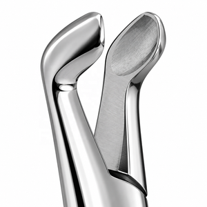 Pinzas de Extracción MJW Surgical 222 – Molar Inferior – Acero Inoxidable – Certificación CE ISO13485 – Uso en Cirugía Dental - Product Image 2