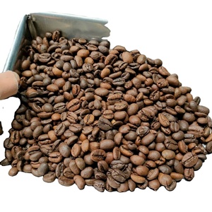Granos de Café Robusta Tostados de Alta Calidad, Grado 1, Origen Gia Lai, Vietnam, Empaque a Granel en Bolsa de 60 kg - Product Image 3