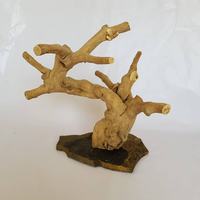 Perchoir pour oiseaux en bois de Java personnalisé |   Fabricant de supports de jeu pour perroquets OEM