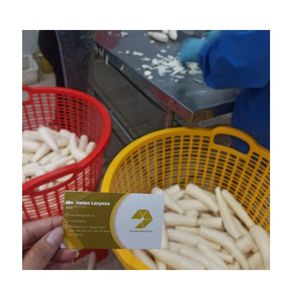 Manioc IQF Congelé Premium Entier Épluché en Vrac Sous Vide pour l'Agriculture et la Vente en Gros - Product Image 3