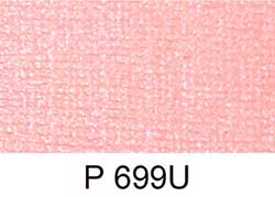 P 699U