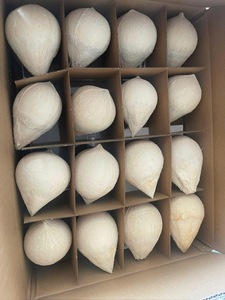มะพร้าวขัดเงาทั้งลูก Coco fresco pulido Coco fresco polido สำหรับผู้ซื้อ (WA +84914319488) - Product Image 2