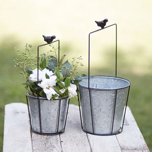 Pot de fleurs en métal pour oiseaux, seau à fleurs en acier galvanisé, ornement de jardin vintage, décoration de fête de mariage, récipient pour plantes succulentes - Product Image 1