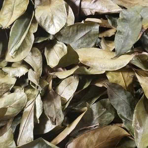 Vietnamese Soft Dried Soursop Slices Natural Chewy Snack No Sugar Added Bulk Wholesale Export Quality Premium Fruit <b>Box</b> - Product Image 6