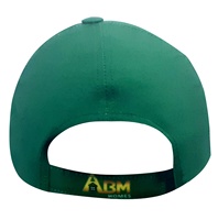 Casquette de baseball personnalisée à 6 panneaux en coton avec logo brodé, chapeau de sport réglable, fabrication OEM ODM en gros
