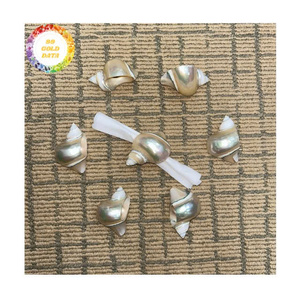 Anillo para Servilletas de Estilo Costero con Conchas Marinas, Hecho a Mano, Plateado, para Restaurante u Hotel - Product Image 5