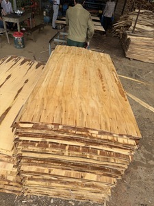 <b>Eucalyptus</b> Rotary Cut Core Veneer Durable & Eco-Friendly 1270mm Length Industrial Design for Plywood Industry - Product Image 6