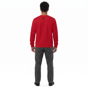 Sweat à capuche pour garçons en molleton français lavé aux enzymes avec broderie 3D et appliqué - Product Image 2