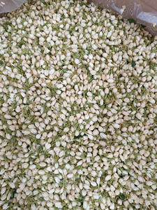 Polvo de Jazmín Puro y Seco para Suplementos de Salud, Extracto Herbal Natural, Materias Primas, Polvo de Pétalos de Jazmín de Alta Pureza - Product Image 2