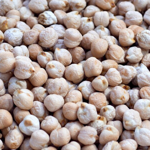 Garbanzos Secos Kabuli Orgánicos de la India de Calidad de Exportación a Granel para Empresas de Adquisiciones Internacionales - Product Image 4