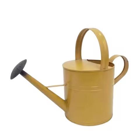 ตามที่แสดง