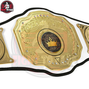 Meilleur fournisseur – Cuir blanc de haute qualité, finition brillante, léger, entièrement personnalisable – Nouvelle arrivée pour championnats d'arts martiaux - Product Image 6