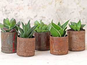Rustic Metal Planters Set Vintage Galvanized Buckets Outdoor <b>Garden</b> Flower Pots Decorative Patterned Design Style - Product Image 2