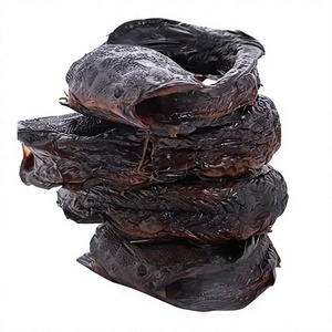 VIETNAM Poisson-chat entier fumé séché, riche en protéines, aliment sain, salé, emballé sous vide, qualité supérieure, 100% naturel, OEM VAN BACH TUNG - Product Image 3