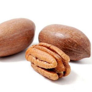 Venta directa de fábrica de piñones de pino natural abiertos para importación - Product Image 3