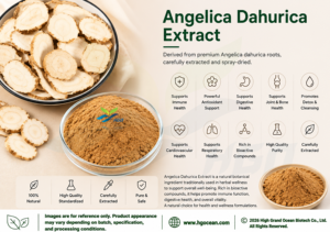 Suministro directo de fábrica HGO de extracto de Angelica Dahurica natural puro (grado alimenticio) Especificación 10:1 (extracto de proporción) - Product Image 2