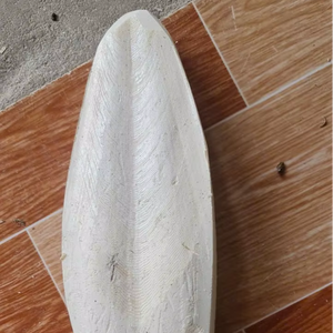 Hueso de Sepia Natural de Vietnam, tamaño 5-10cm, para Aves y Mascotas, Proveedor Mayorista OEM para el Mercado de la UE - Product Image 2