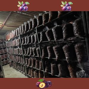 Additif de style frais de prune séchée naturelle des Highlands vietnamiens fabriqué par Vilaconic - Product Image 5