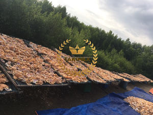 La cubierta de cangrejo seca limpia y desinfectada más vendida para decoración y productos alimenticios listos para enviar - Product Image 5