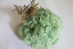 Precio de fábrica 15D HCS verde grado A 100% fibra cortada de poliéster fibra GRS para textiles para el hogar cojín almohada juguetes suaves edredón - Product Image 4