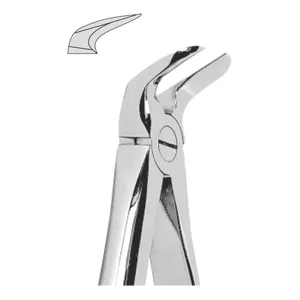 Extraforceps d'instruments chirurgicaux dentaires de modèle anglais standard pour les centrales supérieures et les molaires inférieures - Product Image 2