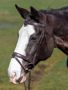 Leather Equestrian Bridle for <b>Horse</b> Riding Comfortable Soft Design Icelandic Hanoverians Fit Customizable Size Logo Rub - Product Image 2