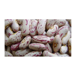 Aliments Sains 100% Haricots Rouges Séchés Longs et Ronds, Haricots Pinto, Haricots Kidney, Haricots Légers et Mouchetés, Exportateurs, Prix Compétitifs - Product Image 6