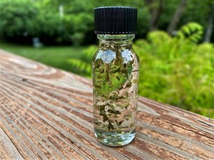 ขายส่งน้ำมันแคทนิปบริสุทธิ์ 100% คุณภาพสูง ผู้ผลิตน้ำมันแคทนิปบริสุทธิ์ 100% และน้ำมันแคทนิปเกรดพรีเมียมสำหรับเครื่องสำอางจากอินเดีย - Product Image 3