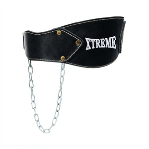 Ceinture de Dips en Chaîne d'Acier, Taille Personnalisée, Couleur Personnalisée, pour Entraînement de Musculation, Fournisseur d'Équipement Sportif en Gros - Product Image 1