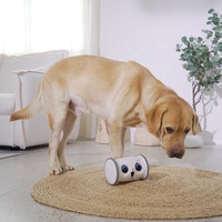 Vente en gros Jouet intelligent automatique amélioré pour animaux de compagnie Robot hibou interactif Wifi avec caméra vidéo Hd 1080p Fournitures pour animaux de compagnie chien chat
