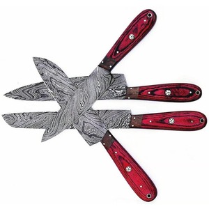 Juego de Cuchillos de Cocina de Acero de Damasco con Mangos de Madera, Hojas de Corte Recto con Punta Caída, 5 Piezas, Cuchillos de Chef OEM de Alta Calidad - Product Image 2