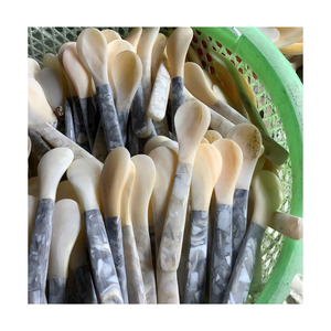 Cucharas Decorativas de Lujo Hechas a Mano con Mango de Concha de Nácar, Vintage, No Tóxicas, Ecológicas, para Servir Postres - Product Image 6