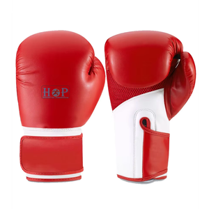 Gants de boxe haut de gamme avec rembourrage de protection haute densité, ajustement ergonomique de la main, ventilation en maille respirante, poignet réglable - Product Image 1