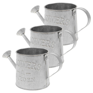 Arrosoir en métal galvanisé style vintage avec bec et poignée en laiton, pour plantes et fleurs d'intérieur et d'extérieur, prix avantageux - Product Image 2