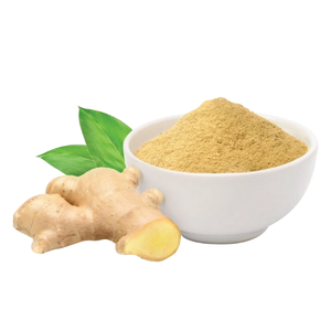Poudre de gingembre biologique lyophilisée, 5 % de gingérols, extrait pur de racine de gingembre pour l'alimentation et les compléments alimentaires - Product Image 5