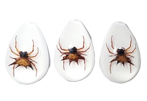 Spiny <b>Spider</b> Real Specimen <b>Plastic</b> Cabochon Pear Shape Cut Top 33x22 mm White Flat Bottom for Crafts and Jewelry Making - Product Image 2